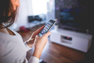 华体会app登入-基于VR技术的体育教学体验系统构建与成效研究，vr技术在体育教学