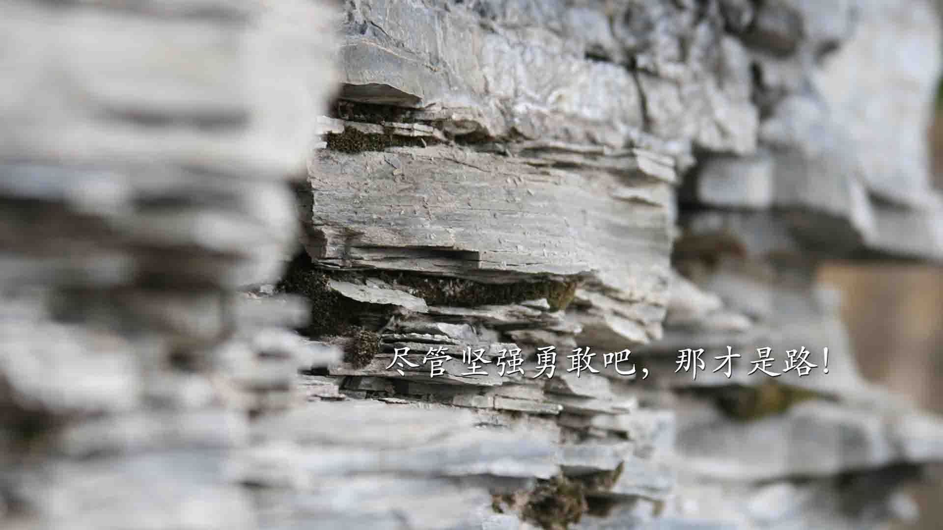 华体会网站-数字化体育课程内容开发与教学资源共享机制，数字化体育教学应用