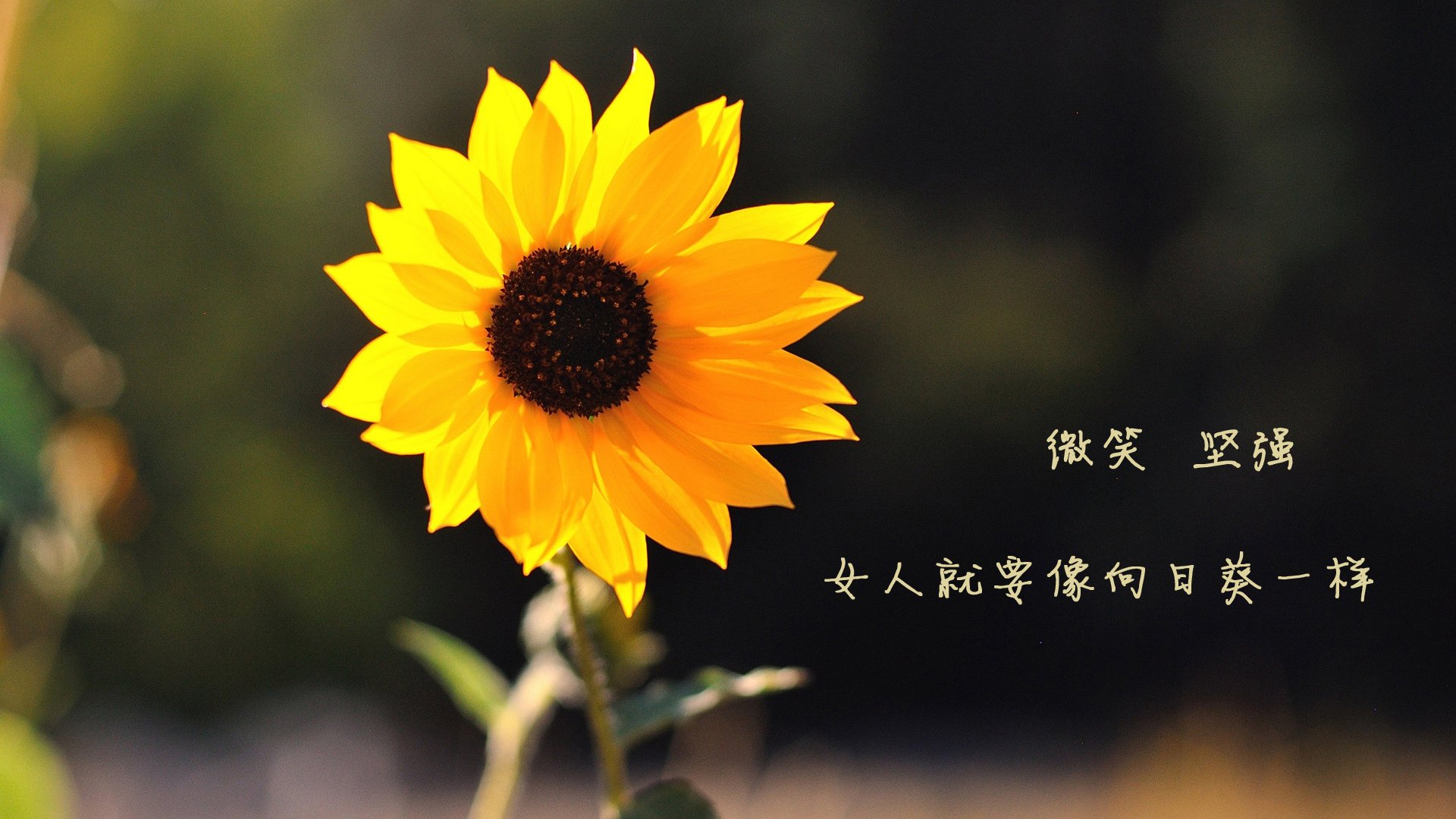 华体会在线-篮球专项训练中的训练负荷科学调控,篮球负重训练买多重的合适 第2张 华体会在线-篮球专项训练中的训练负荷科学调控,篮球负重训练买多重的合适 第2张