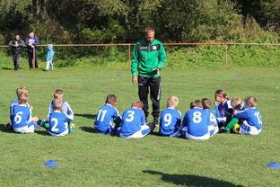 华体会手机在线-英超 VAR 后定位球战术变化及其应用效果，英超使用var