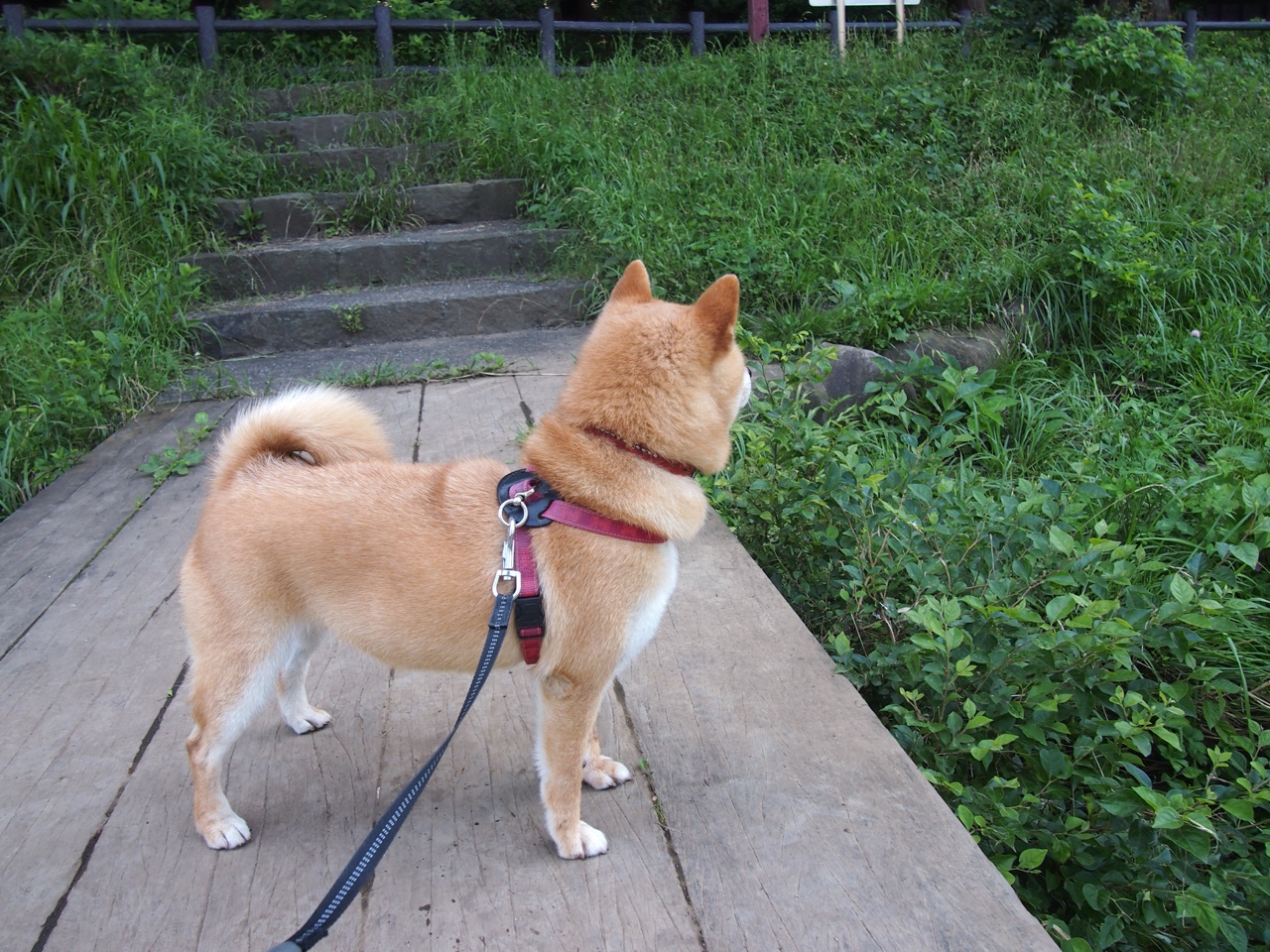 华体会登录入口-CBA新赛季揭幕 各队蓄势待发，cba新赛季赛程安排规则