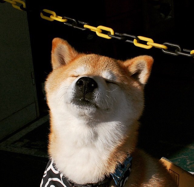 华体会app登入-“武汉马拉松赛:每一秒都决定命运” 第3张 华体会app登入-“武汉马拉松赛:每一秒都决定命运” 第3张