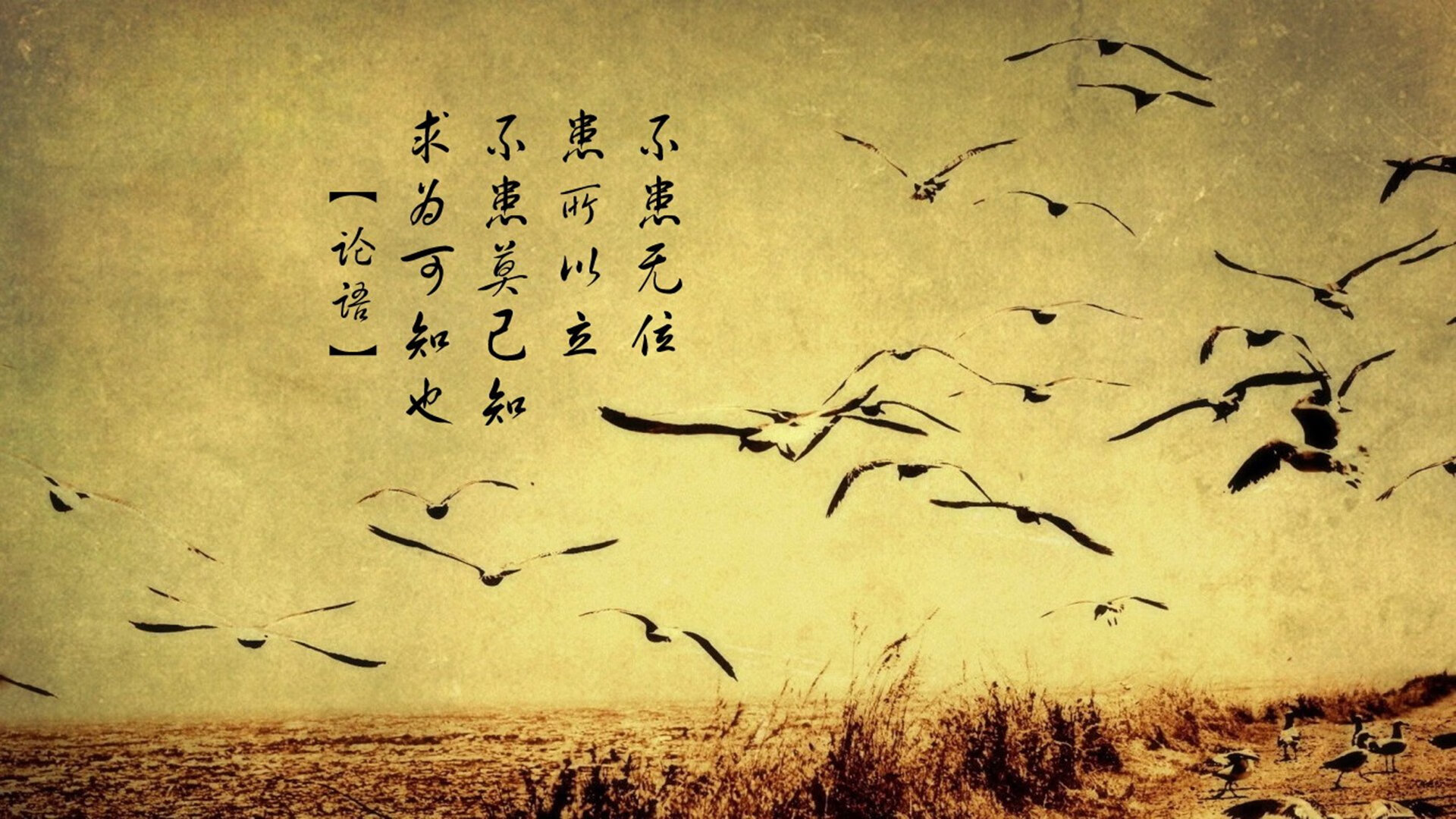 华体会网址-“高新体育中心:健力赛事见证选手超越自我,力争金牌” 第2张 华体会网址-“高新体育中心:健力赛事见证选手超越自我,力争金牌” 第2张