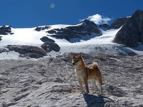 华体会登录-中国女篮展示良好化学反应 场上默契十足