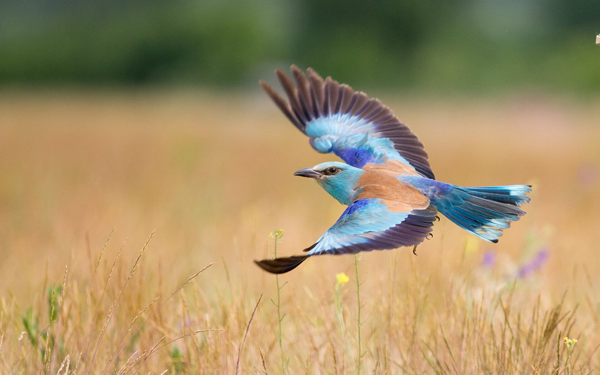 华体会手机网站-主力球员伤停期间替补轮换表现能否稳定发挥,球赛伤停补时算吗 第3张 华体会手机网站-主力球员伤停期间替补轮换表现能否稳定发挥,球赛伤停补时算吗 第3张