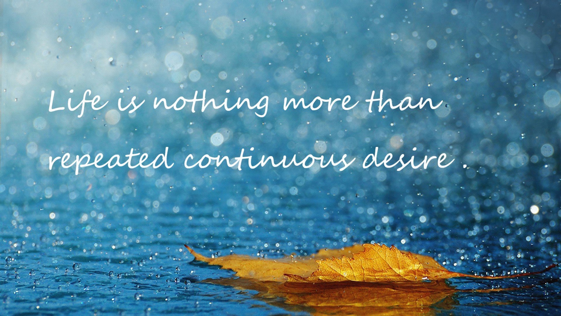 华体会平台-五大联赛主力球员连场出战是否影响射门质量,五大联赛连胜最多的球队 第1张 华体会平台-五大联赛主力球员连场出战是否影响射门质量,五大联赛连胜最多的球队 第1张