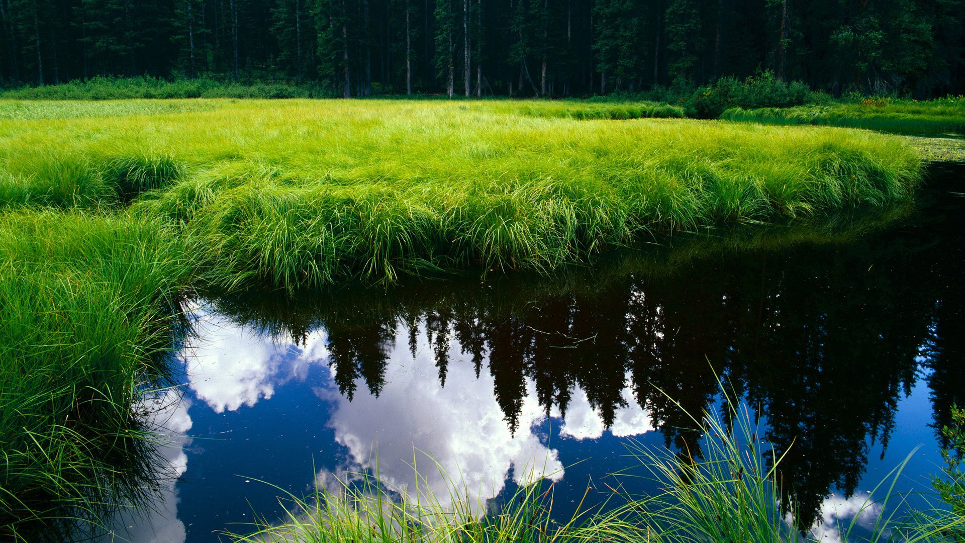 华体会网址-五大联赛球队在欧战中战术执行的优劣表现，五大联赛欧战积分最新排名