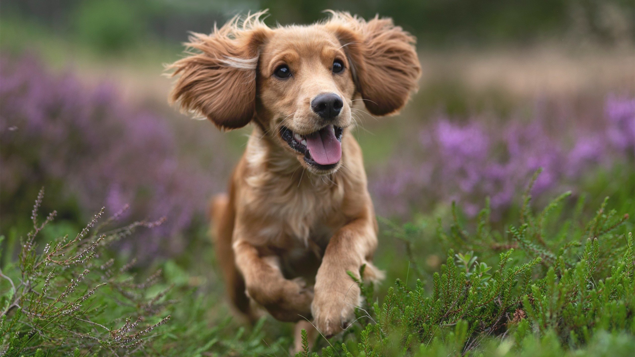 华体会在线下载-得分手是否应兼具组织能力 第2张 华体会在线下载-得分手是否应兼具组织能力 第2张