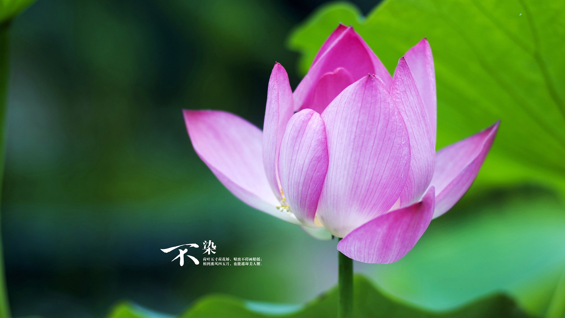 华体会app下载-球队瞄准洲际强队对抗能力再升级,洲际对抗赛赛程 第1张 华体会app下载-球队瞄准洲际强队对抗能力再升级,洲际对抗赛赛程 第1张