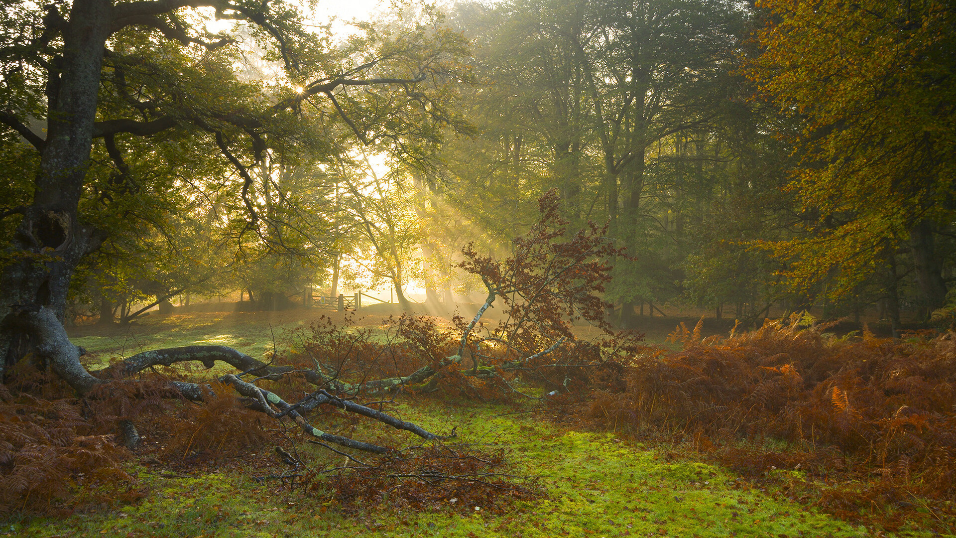 华体会网站-职业球员防守意识培养严重滞后，防守持球队员需要防什么