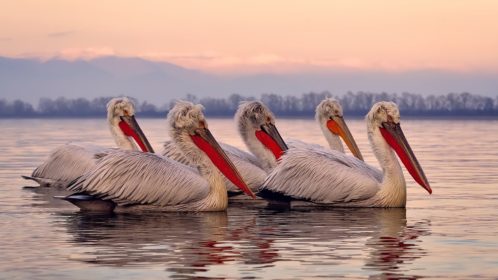 华体会平台-训练营团队结构精简提高协同效率，训练营团队口号