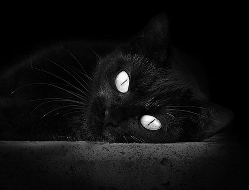 华体会平台-世界杯激情碰撞：终场哨响前的绝妙瞬间，世界杯哨子