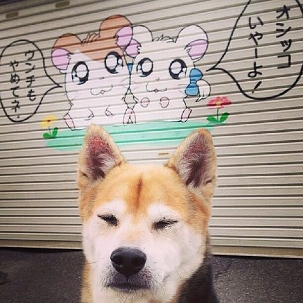 华体会app注册-塞尔·拉恩:全黑队的反击王,突破后迅速寻找机会,创造得分机会