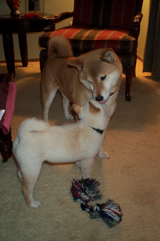 华体会官方网站-湖人内线球员频频抢板打乱对手节奏,湖人内扛