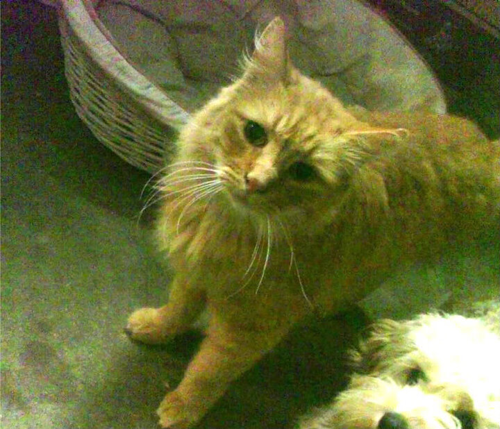 华体会-球队通过心理辅导缓解比赛压力提升临场决策与专注力,足球心理训练对于青少年球员产生的影响