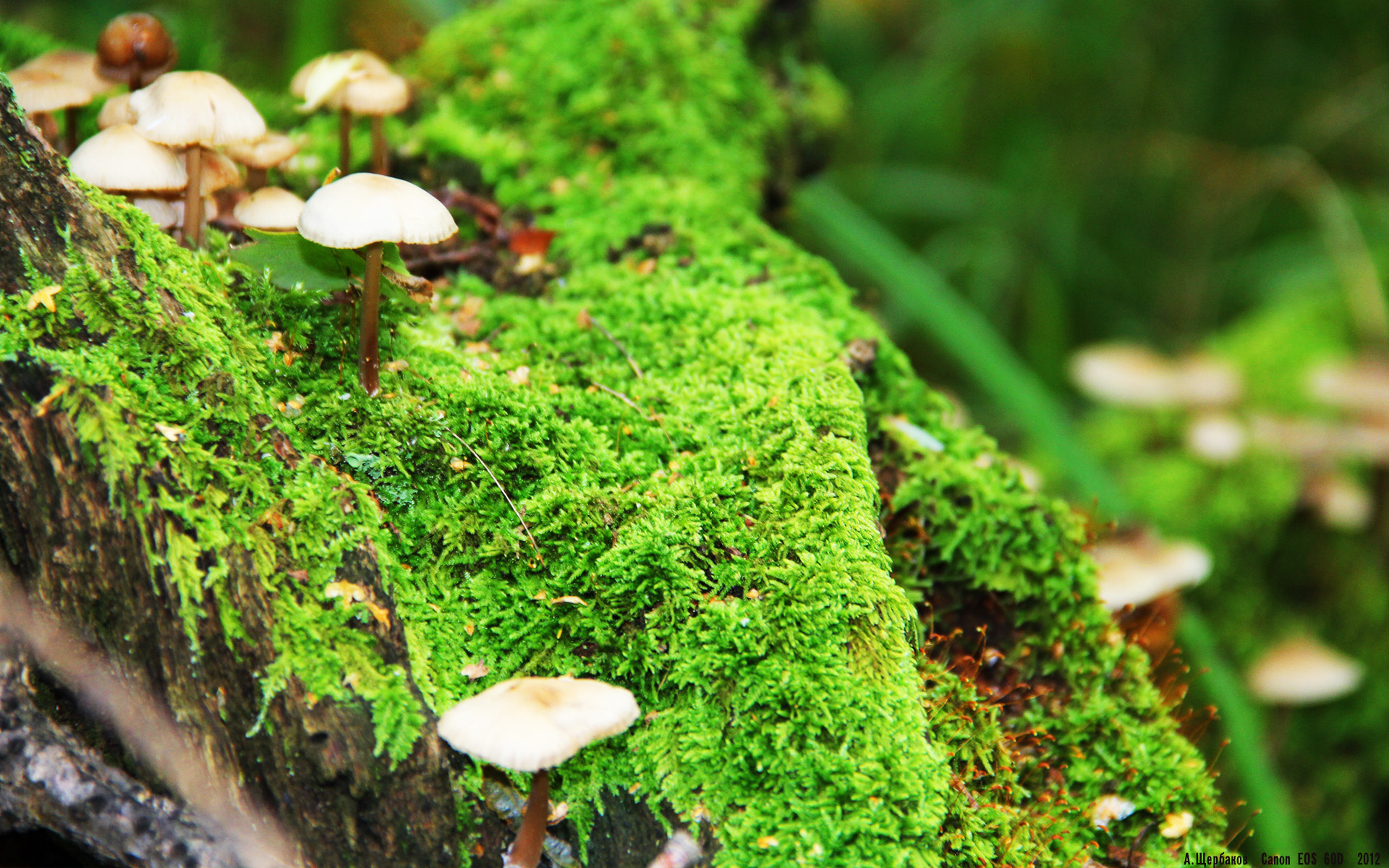 华体会官网入口-职业球员赛季前心理评估纳入体测流程保障竞技状态，篮球心理测试