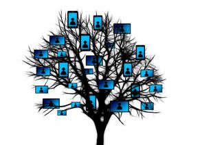 华体会手机网站-跨界合作推出足球主题的数字文创周边产品,市场反响火爆,足球数字货币有哪些