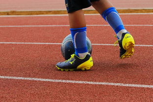 华体会app下载-FIFA排名最新:日本错失晋档 国足未进步,fifa20日本球员