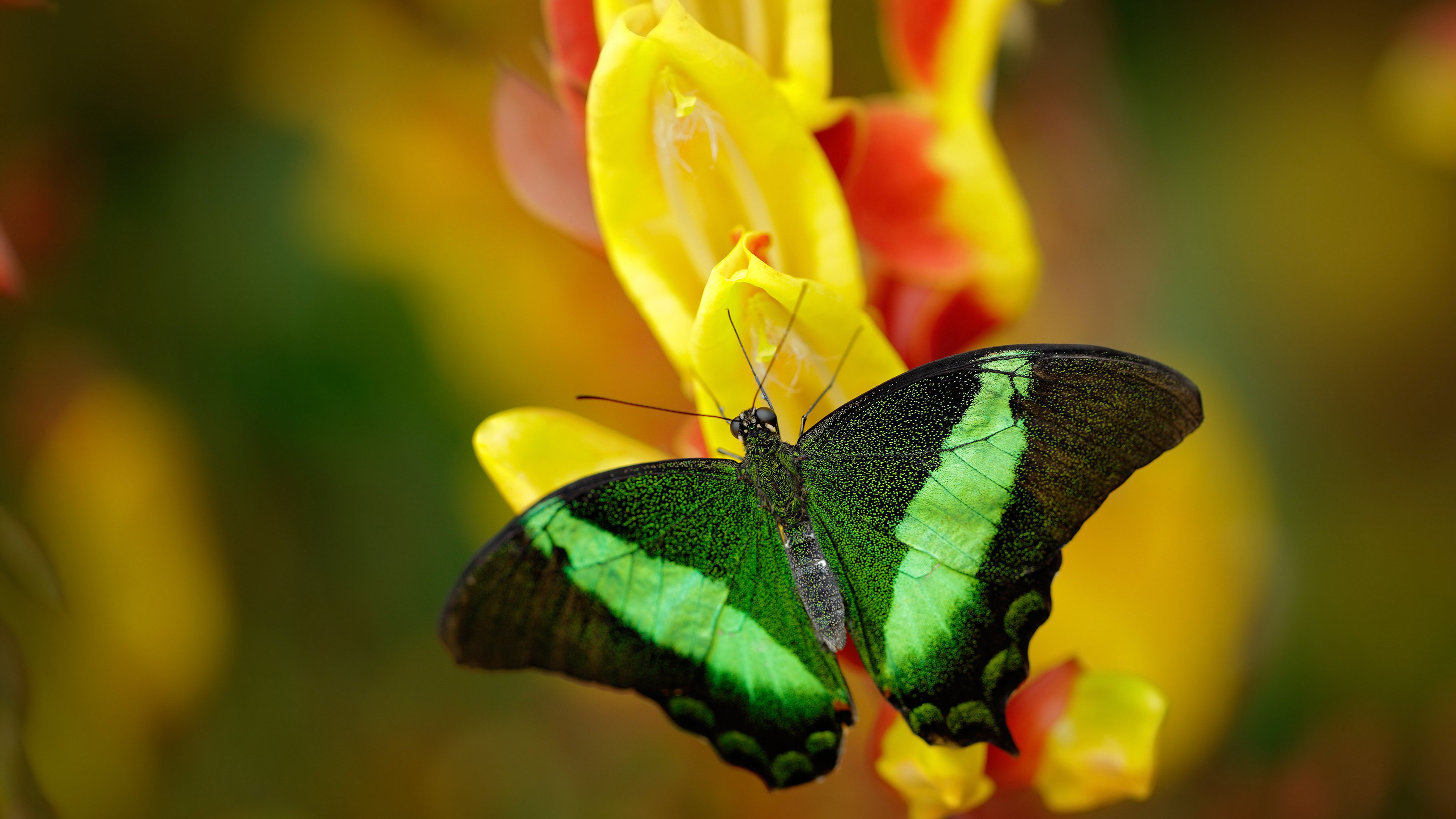 华体会平台-中国足球俱乐部全面提升训练基地建设标准，国家足球训练基地多少钱一天